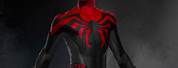 Black and Red Spider-Man Costume