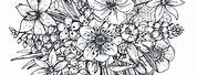 Black and White Sketches of Floral Arrangements