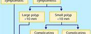 Bladder Polyp Size Chart