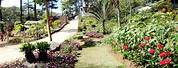 Botanical Garden in Baguio City