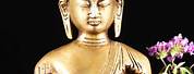 Brass Buddha Lightweight