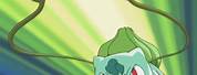 Bulbasaur Attacking with Vine Whip