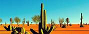 Cactus Desert Wallpaper 4K