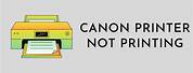 Canon Microfiche Reader Printer Not Printing