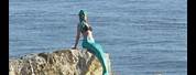 Cape Town Beach Mermaid