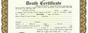 Certified True Copy Death Certificate