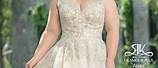 Champagne Wedding Dresses with Hat Headpiece Plus Size