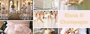 Champagne and Blush Color Palette