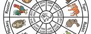 Chinese Zodiac Circle Chart