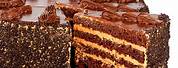 Chocolate Cake HD Image Flat Surface