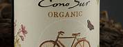 Cono Sur Organic Wine