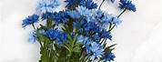 Cornflower Blue Artificial Flowers