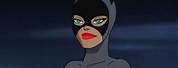DC Batman the Animated Series Catwoman