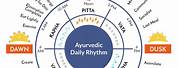 Daily Routine Schedule Ayurveda