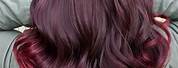 Dark Red Violet Hair Color