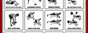 Different Types of Dumbbell Exercises