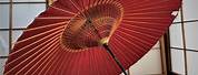 Dining-Out Umbrella Japanese