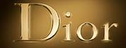 Dior Logo Gold Star