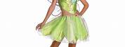 Disney Fairies Tinkerbell Costume