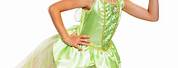 Disney Peter Pan Tinkerbell Costume