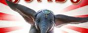 Disney Tim Burton Dumbo DVD