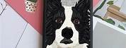 Dog Cases for iPhone 11
