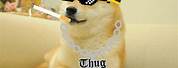 Doge Meme Thug Life