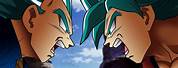 Dragon Ball Z Goku and Vegeta Evil