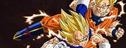 Dragon Ball Z Goku vs Vegeta Super Saiyan 4