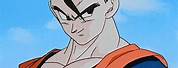 Dragon Ball Z Kai Gohan Icon