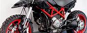 Ducati Monster Adventure Bike