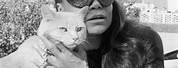 Eartha Kitt or Julie Newmar Catwoman