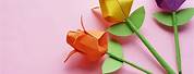Easy Origami Paper Crafts