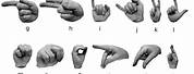 Easy Steps to Learning Sign Language