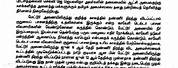 Essay of Forest for Kids in Tamil
