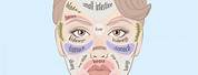 Face Mapping Chinese Medicine Acne