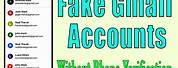 Fake Google Account and Password