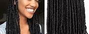 Faux Locs Curly Crochet Braids Hairstyles