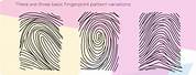 Fingerprint Activity for Kids