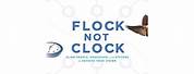 Flock or Clock Book