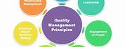 Four Core Principles of Quality Assurance