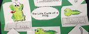 Frog Life Cycle Craft 4th Grade