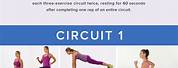 Full Body Circuit Workout No Weights