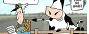 Funny Cow Cartoon Jokes