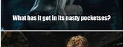 Funny Hobbit Memes Bilbo