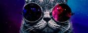 Galaxy Cat Background 4K