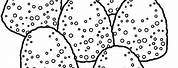 Gumdrop Coloring Pages