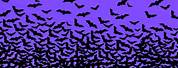 Halloween Bats Desktop Wallpaper