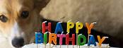 Happy Birthday Ally Dog Cake