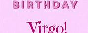 Happy Birthday Virgo Quotes